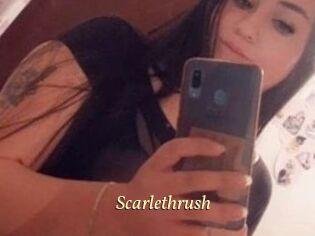 Scarlethrush