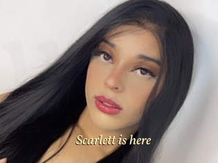 Scarlett_is_here