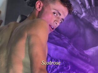 Scotrose