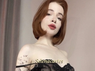 Selenacartes