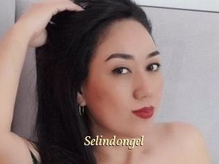 Selindongel