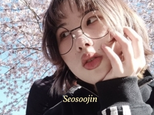 Seosoojin