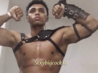 sexybigcock111 Vidéo porno gratuite