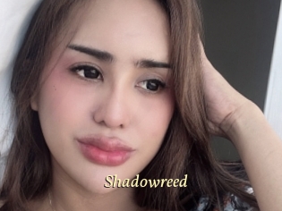 shadowreed Vidéo porno gratuite