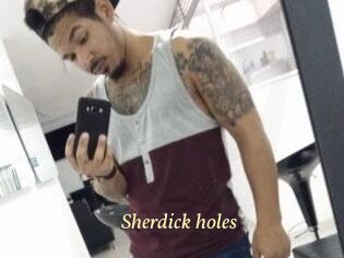Sherdick_holes