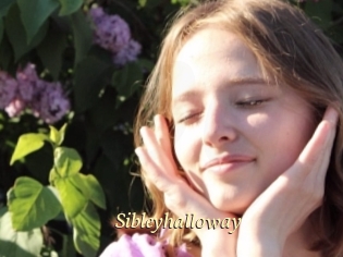 Sibleyhalloway