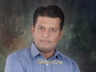 Siliboy7291