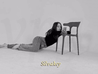 Silvakey