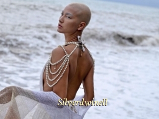 Silverdwinell
