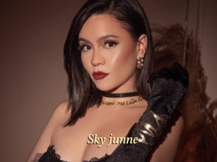 Sky_junne