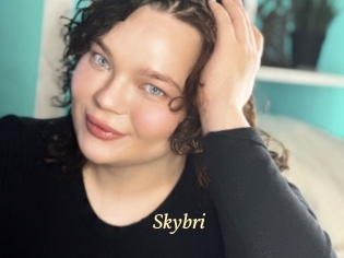 Skybri
