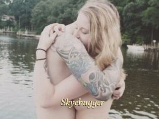 Skyebugger