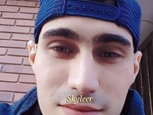 Skyleer