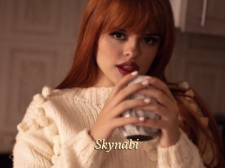 Skynabi
