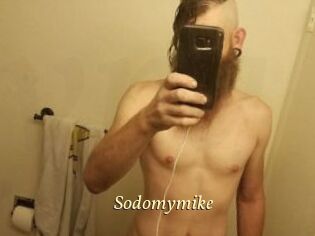 Sodomymike