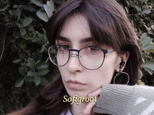 Sofigroot