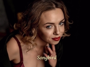 songbird Vidéo porno gratuite