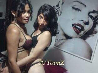 TG_TeamX