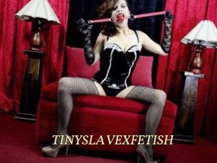 TINYSLAVEXFETISH