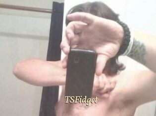TSFidget