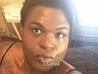 TS_Shea