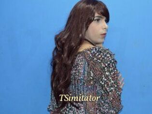 TSimitator