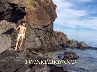 TWINKELIKINGUD