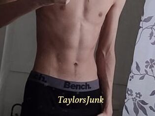 TaylorsJunk