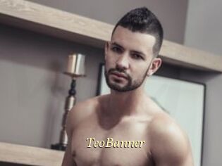 TeoBanner
