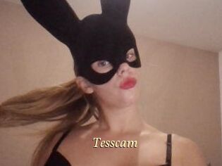 Tesscam
