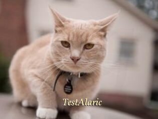 TestAlaric