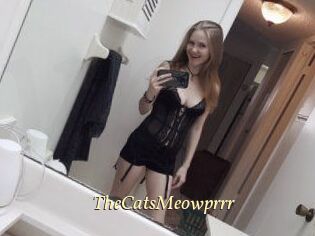 TheCatsMeowprrr