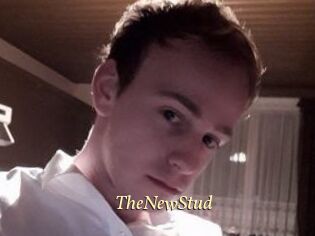 TheNewStud