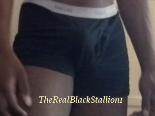 TheRealBlackStallion1