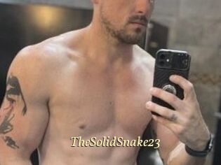 TheSolidSnake23