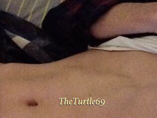 TheTurtle69