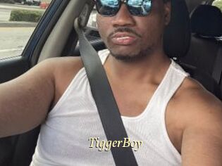 TiggerBoy