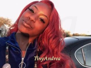 TinyAndrea