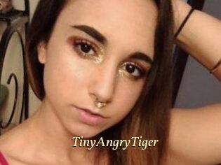 TinyAngryTiger