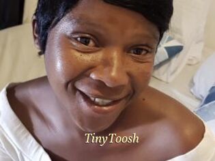 TinyToosh