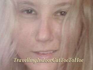 TravellingIndoorCatToeToHoe