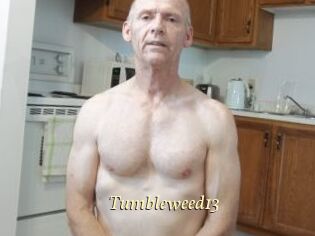 Tumbleweed13