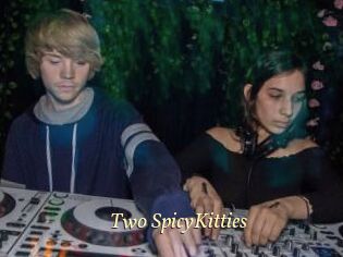 Two_SpicyKitties