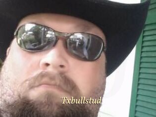 Txbullstud