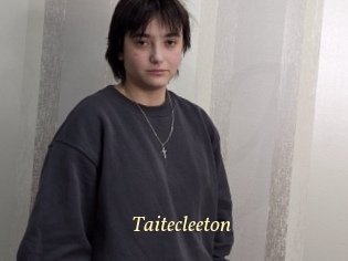 taitecleeton Vidéo porno gratuite