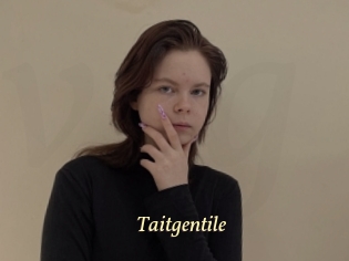 Taitgentile