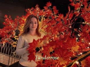 Tanderrose