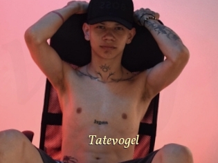 Tatevogel