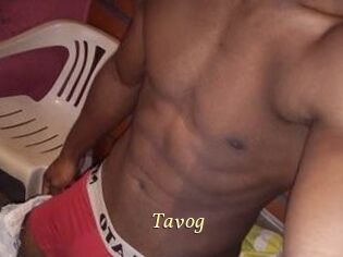 Tavog