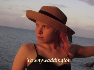 Tawnywaddington